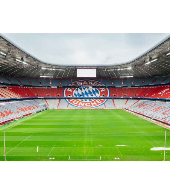Allianz Arena Ingresso + Monaco CityTour