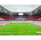 Allianz Arena Entrance + Munich CityTour