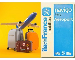 Roissy Charles de Gaulle RER - airport city centre train