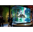 Tower of London and Queen's Jewels