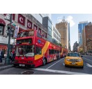 New York Big Bus - Night Tour